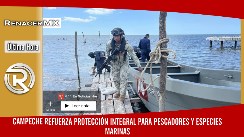 Campeche refuerza protección integral para pescadores y especies marinas 