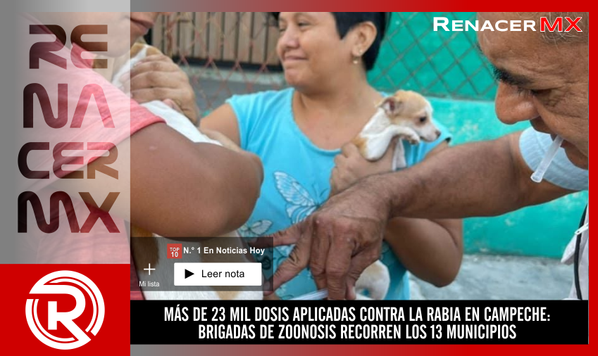 MÁS DE 23 MIL DOSIS APLICADAS CONTRA LA RABIA EN CAMPECHE: BRIGADAS DE ZOONOSIS&hellip;