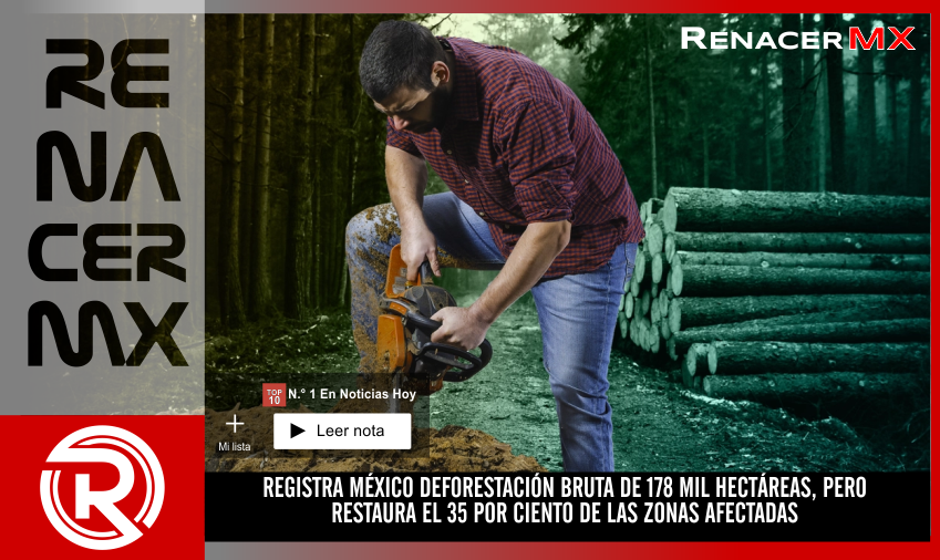REGISTRA MÉXICO DEFORESTACIÓN BRUTA DE 178 MIL HECTÁREAS, PERO RESTAURA EL 35&hellip;