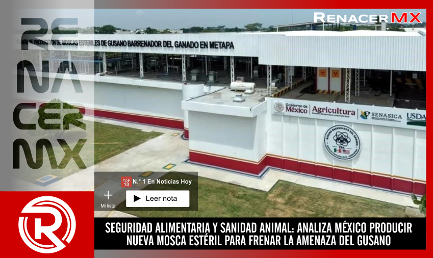 SEGURIDAD ALIMENTARIA Y SANIDAD ANIMAL: ANALIZA MÉXICO PRODUCIR NUEVA MOSCA ESTÉRIL&hellip;
